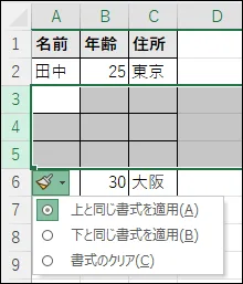 行挿入後の書式設定オプション画面