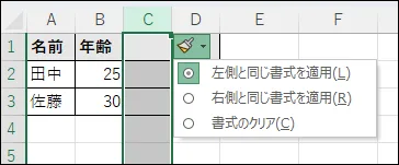 挿入後の書式設定オプション画面
